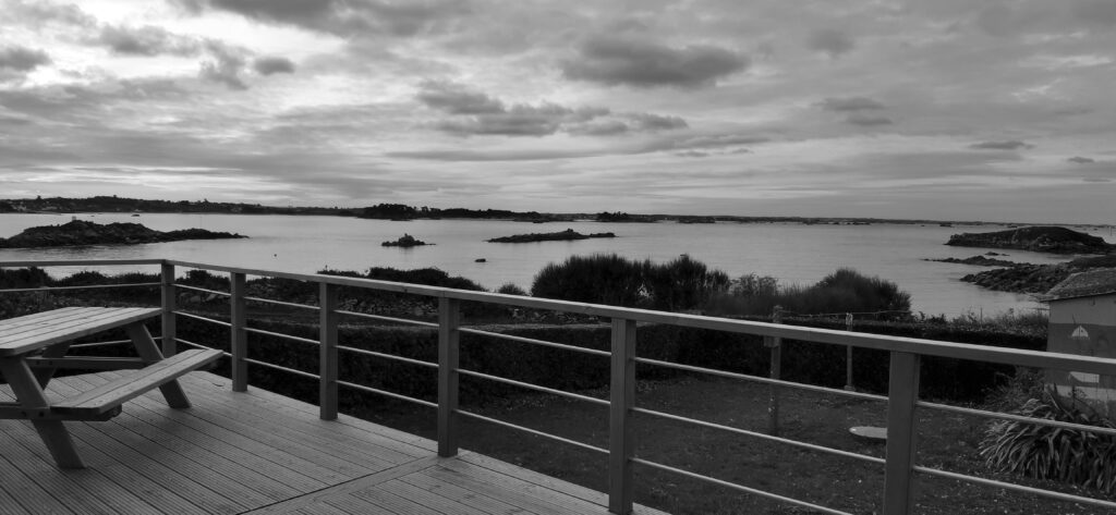 jardinier entretien terrasse creation jardin